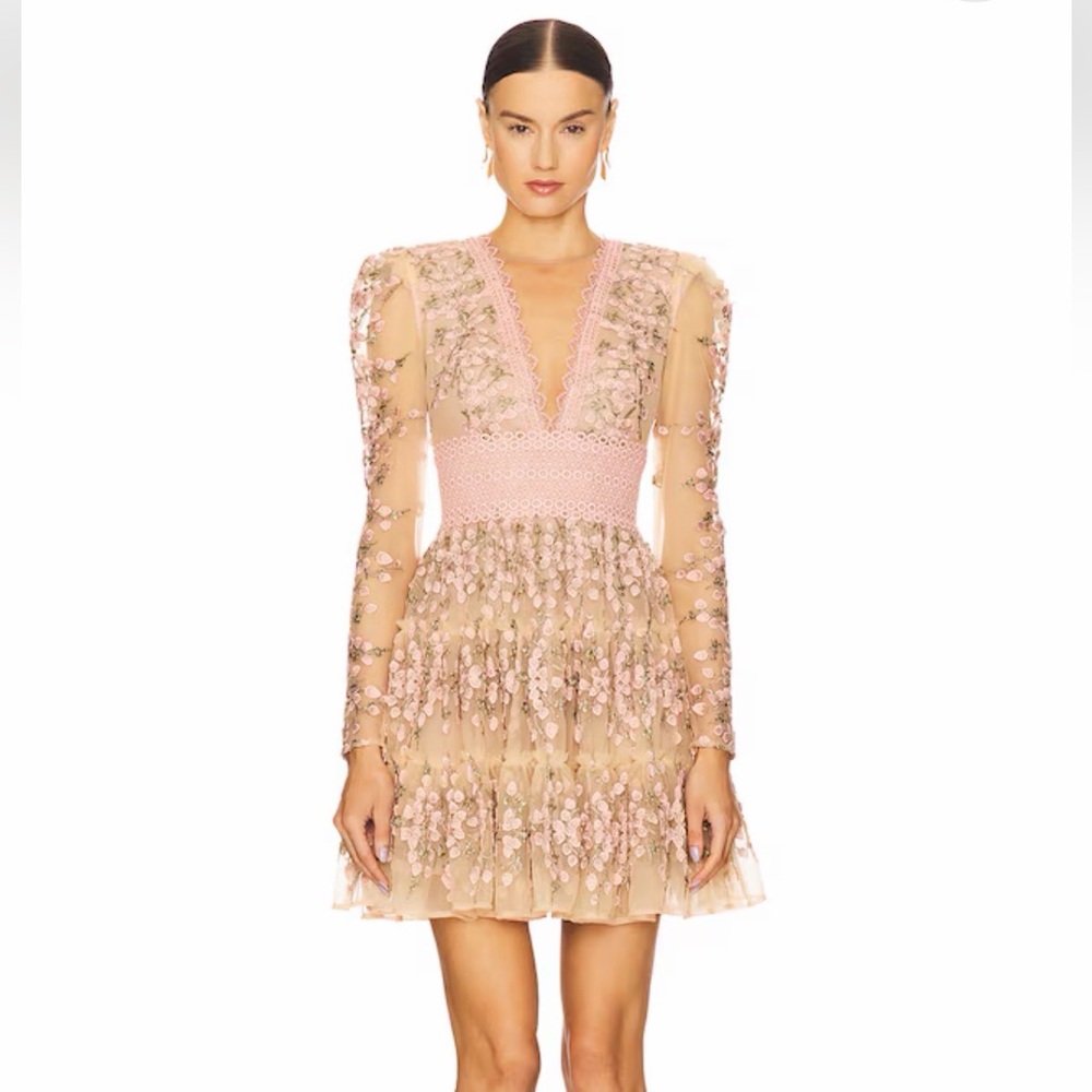 Bronx & Banco Megan Mini Dress in Rose
